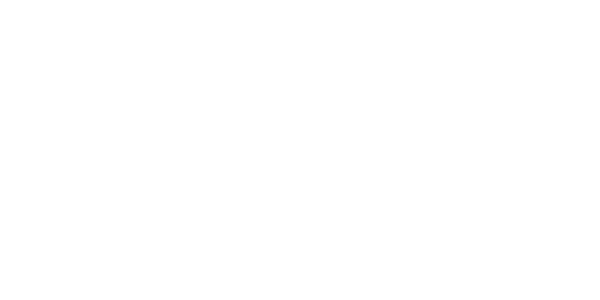 Init logo
