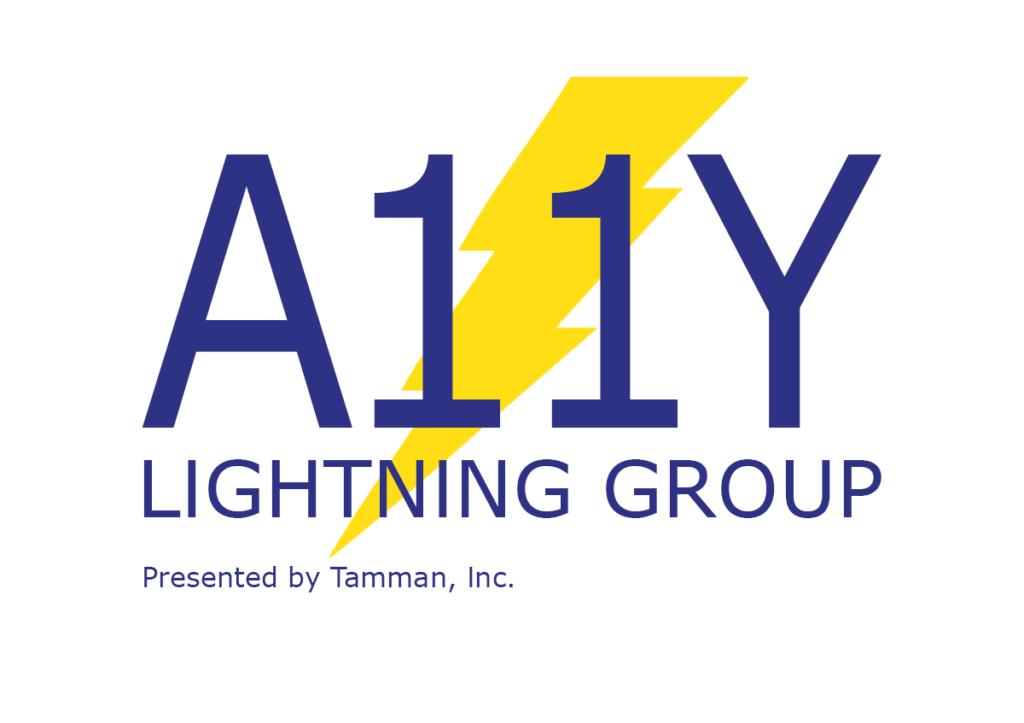 Accessibility Lightning Group, Presented by Tamman, Inc.