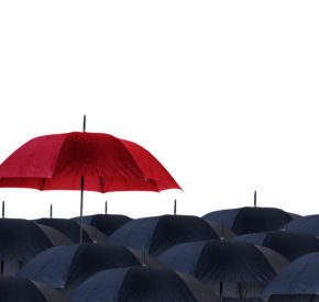 An opened red umbrella held above several open black umbrellas.