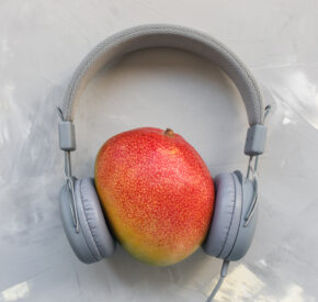 A deliciously ripe, red and yellow mango resting in between a a pair of gray headphones like a person's head would.